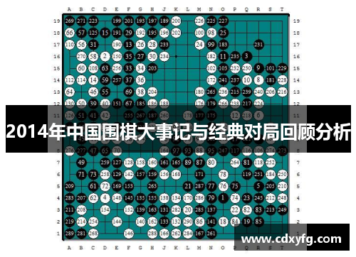2014年中国围棋大事记与经典对局回顾分析
